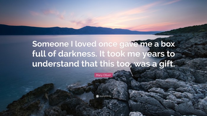 Mary oliver box of darkness meaning