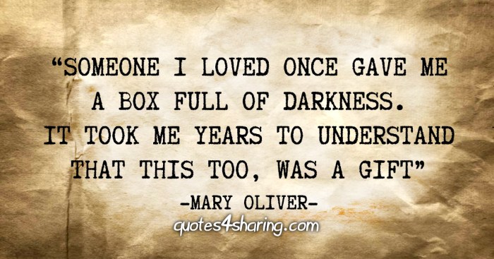 Oliver mary quote darkness box loved someone features redbubble ds understand gave took once too gift years