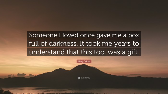 Mary oliver box of darkness meaning