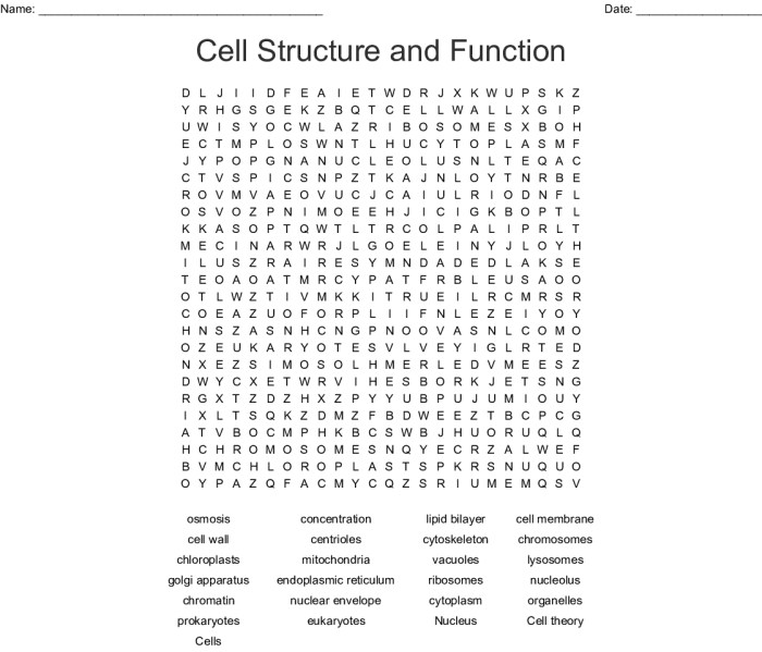 Cells and organelles word search