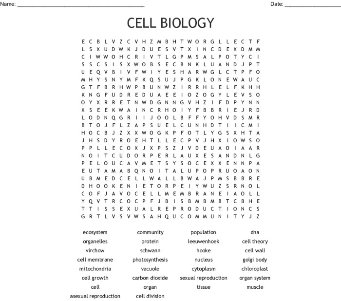 Cells and organelles word search