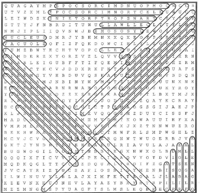 Cells and organelles word search