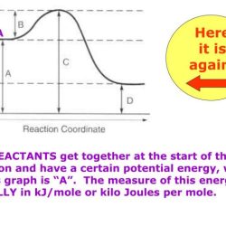 Potential energy diagrams worksheet answers