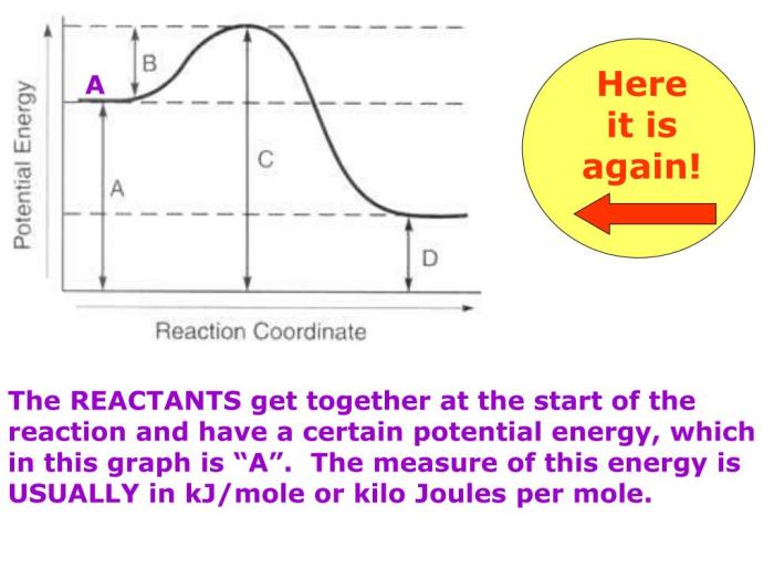 Potential energy diagrams worksheet answers