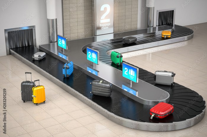 Baggage carousel reclaim