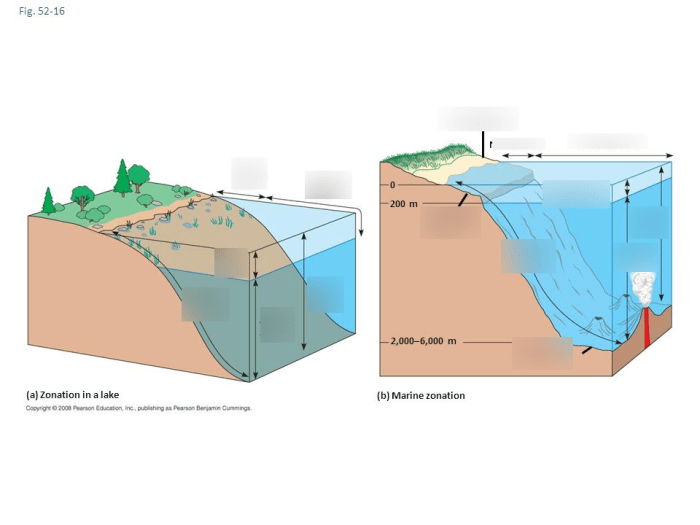 Chapter 52 an introduction to ecology and the biosphere