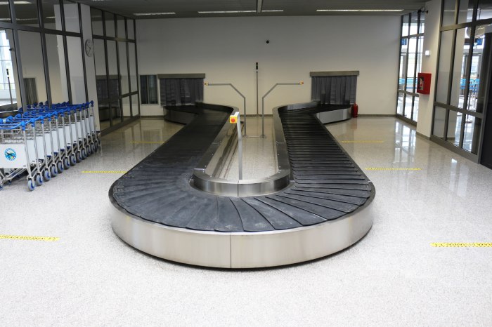 The drawing shows a baggage carousel at an airport